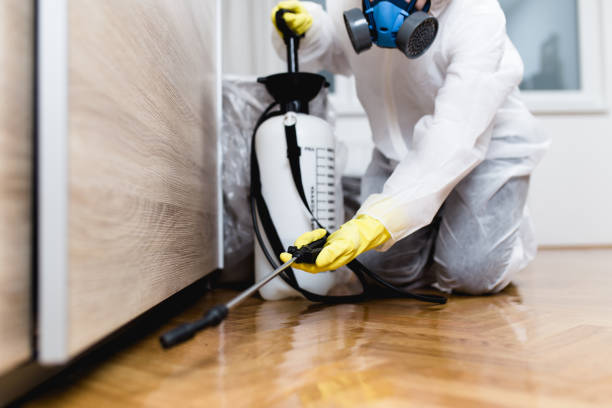 Best Residential Pest Control  in Mulberry, AR