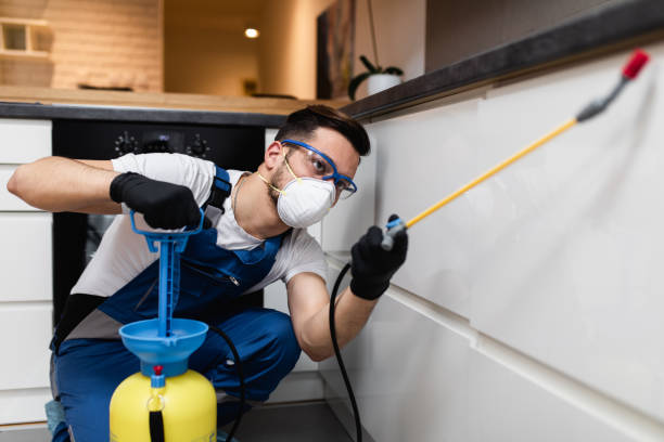 Best Best Pest Control Companies  in Mulberry, AR