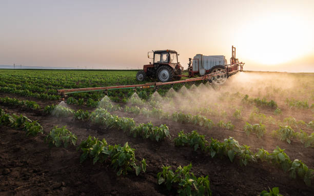 Best Local Pest Control Services  in Mulberry, AR