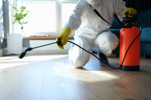 Best Local Pest Control Services  in Mulberry, AR