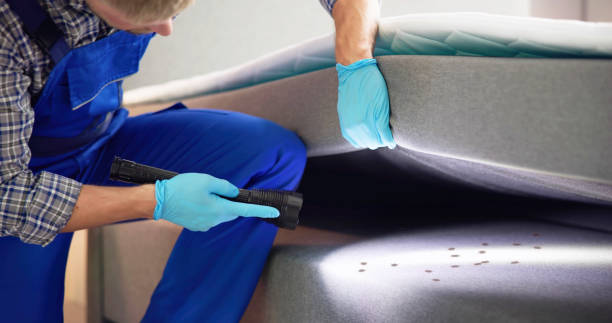 Best Insect Control  in Mulberry, AR