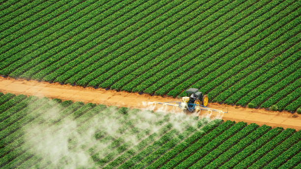Best Pest Control Near Me in Mulberry, AR