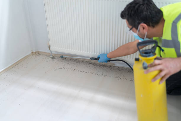 Flea Control Services in Mulberry, AR