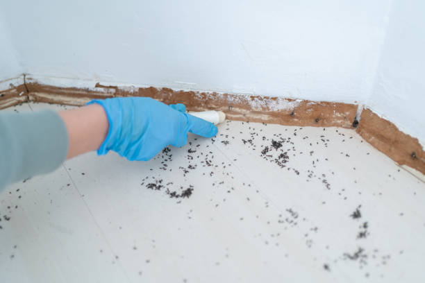 Best Pest Prevention Services  in Mulberry, AR