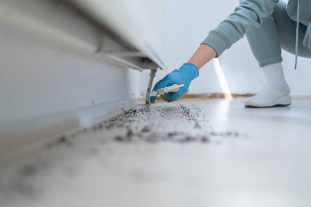Best Exterminator Services  in Mulberry, AR